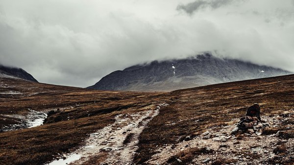 Les emplacements de camping en forêt : avantages et contraintes