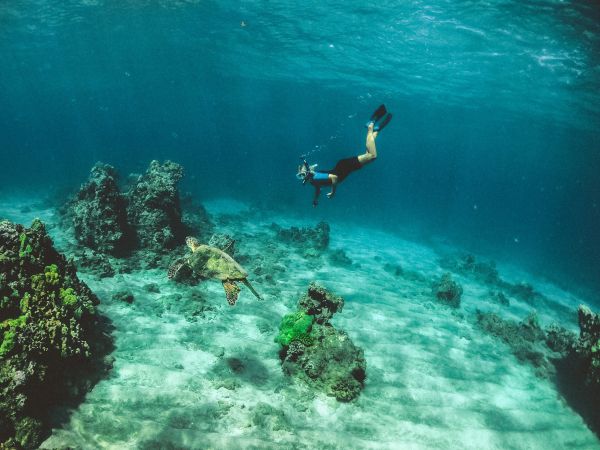 Guide ultime des lieux de snorkeling immanquables à Malte